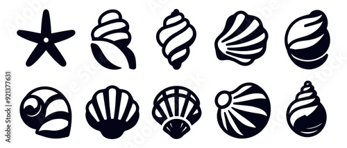 Set of sea shells. Sea shells, mollusks, scallop, pearls. Tropical underwater shells icon illustration. Vector minimalist illustration.