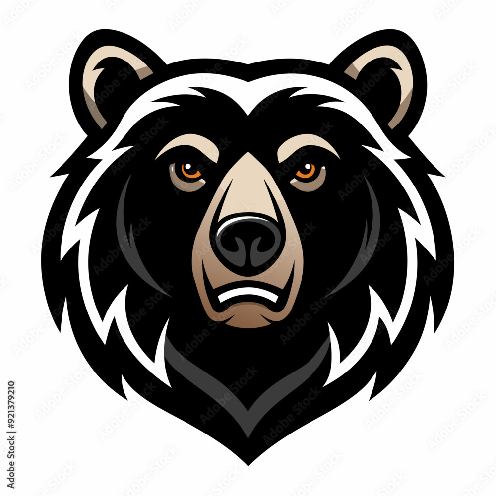 bear bear