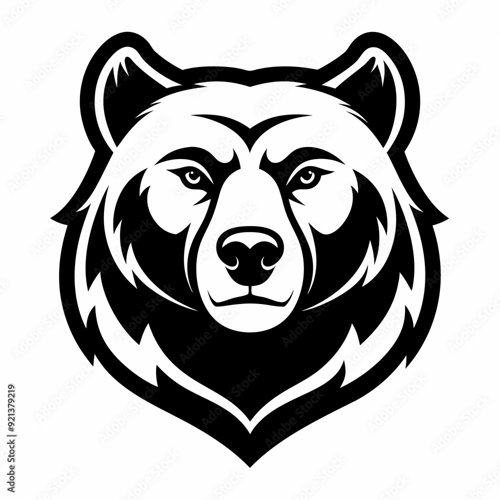bear bear
