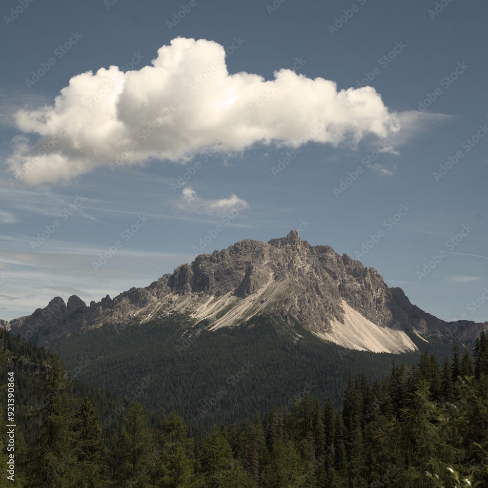 Fototapeta premium national park