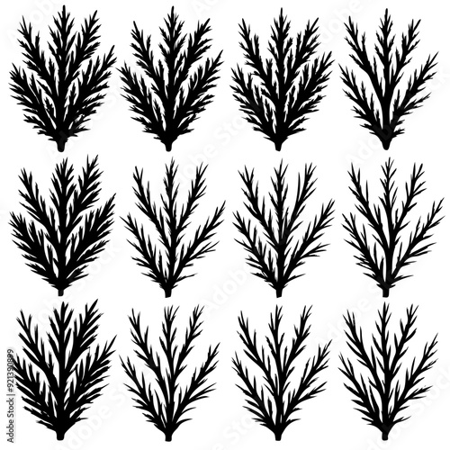 Black silhouettes of pine branches on a white background