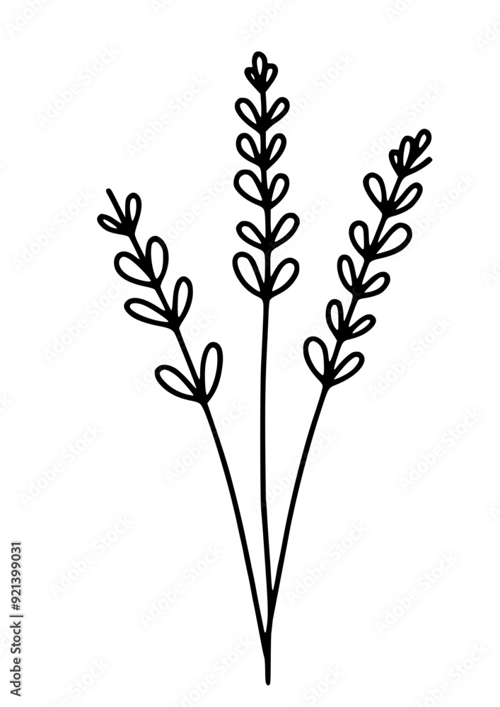 Fototapeta premium Flowers SVG, Daisy SVG, Rose SVG, Peony SVG, Lily SVG, Floral SVG, Nature SVG, Plant SVG, Blossom SVG, Flowers Silhouette, Flowers Design, Bouquet SVG, Cut file for Cricut SVG, JPG, PNG