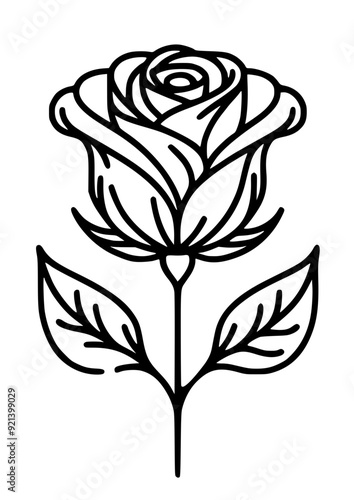 Flowers SVG, Daisy SVG, Rose SVG, Peony SVG, Lily SVG, Floral SVG, Nature SVG, Plant SVG, Blossom SVG, Flowers Silhouette, Flowers Design, Bouquet SVG, Cut file for Cricut SVG, JPG, PNG