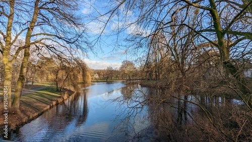 reflection of trees