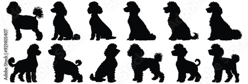 Poodle silhouettes set, dog pack of vector silhouette design, isolated background