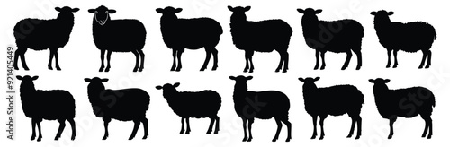 Sheep silhouettes set, pack of vector silhouette design, isolated background
