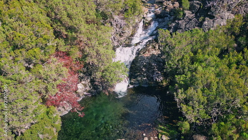 Drone waterfall falling forest into natural pool. Tranquil green environment
