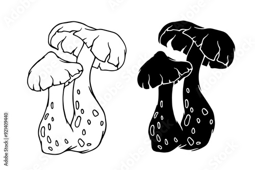 Line sketch, silhouette, stamp of toadstool mushrooms. Vector graphics.