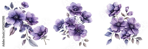 Untitled design - A set of Single hand drawn watercolor purple flower with leaves isolated on a transparent background (3)