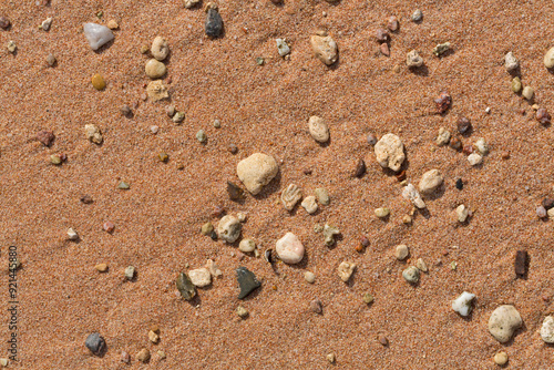 The coastline of the Red Sea. Sand, pebbles, corals, fossils. Background with a marine theme.