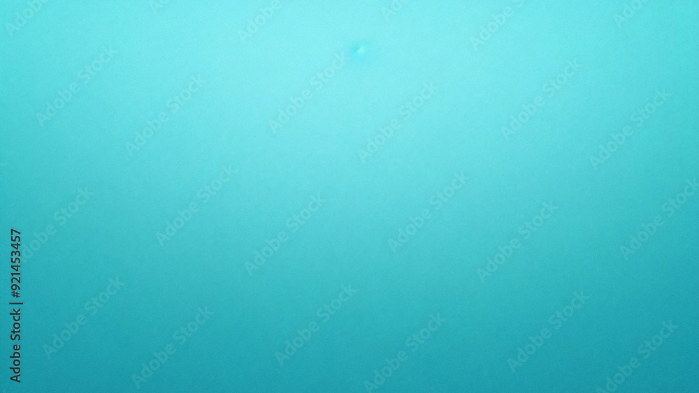 Abstract gradient turquoise blue teal white colored blurred back Abstract gradient turquoise blue teal white colored blurred back