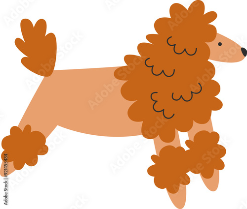 Poodle Dog Hand Drawn