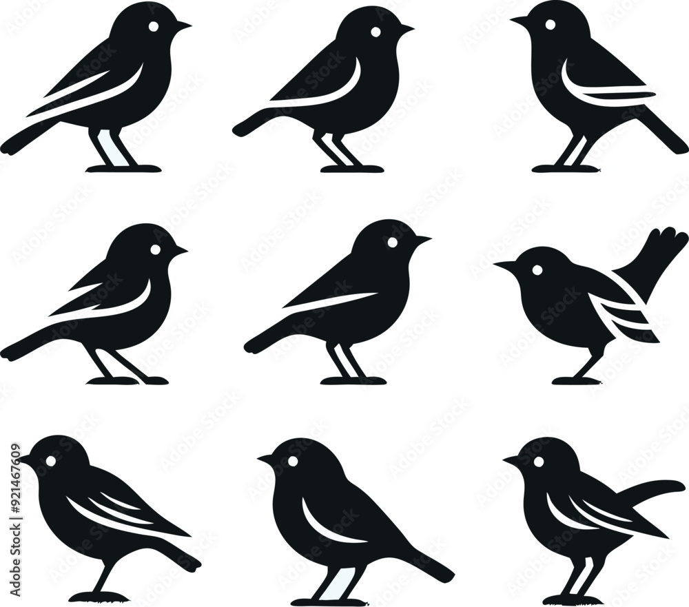 Fototapeta premium set of silhouettes of birds Vector illustration silhouette image icon 