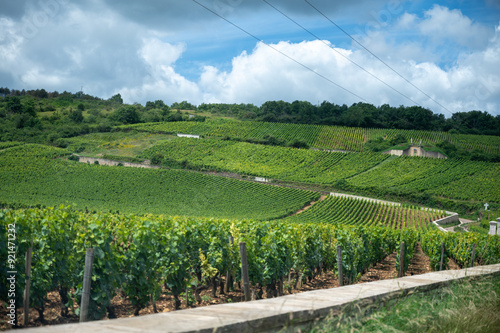 Green grand cru and premier cru vineyards with cross and rows of pinot noir grapes plants in Cote de nuits, making of famous red and white Burgundy wine in Burgundy region, Vosne-Romanee village photo