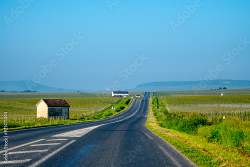 Driving car on green grand cru vineyards near Avize, region Champagne, France. Cultivation of white chardonnay wine grape on chalky soils of Cote des Blancs. photo