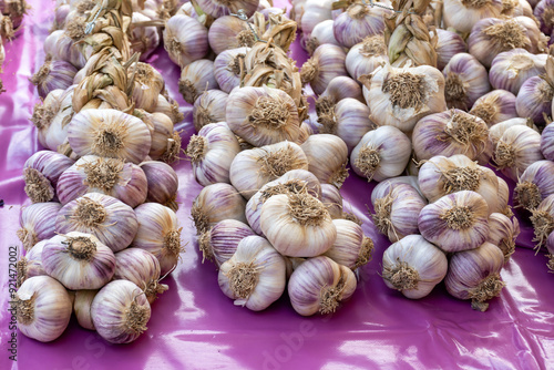 New harvest of fresh organic aromatic violet garlic in small Piolenc village, Vaucluse, Provence, France
