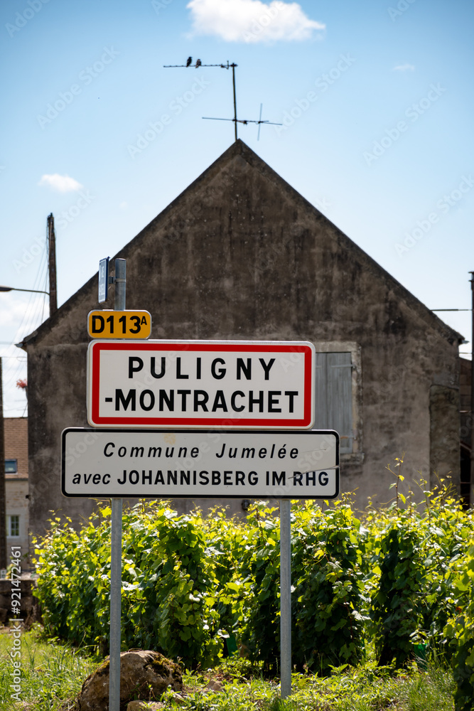 Fototapeta premium Road sign Puligny-Montrachet village, wine of Burgundy, France. High quality white dry wine making from Chardonnay grapes on grand cru classe vineyards