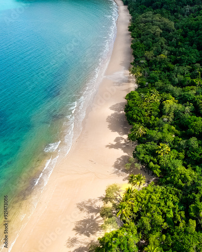 Remote beach in Australia on a sunny day. Daintree and Cape Tribulation location with rainforest and reef