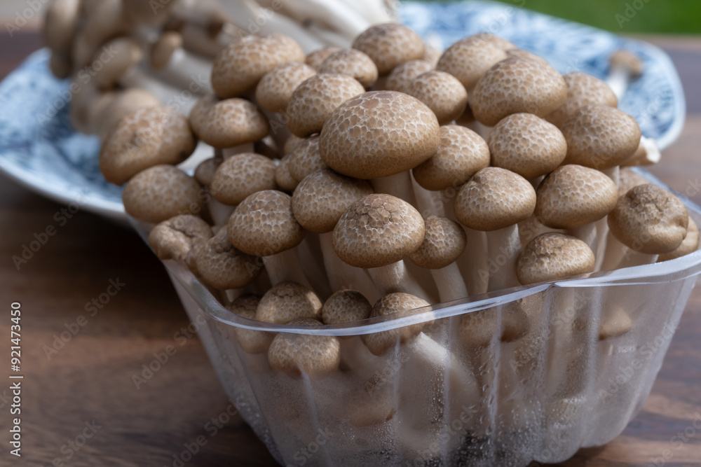 Brown shimeji edible mushrooms native to East Asia, buna-shimeji is widely cultivated and rich in umami tasting compounds Brown shimeji edible mushrooms native to East Asia, buna-shimeji is widely cultivated and rich in umami tasting compounds