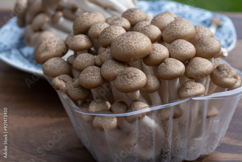 Brown shimeji edible mushrooms native to East Asia, buna-shimeji is widely cultivated and rich in umami tasting compounds photo