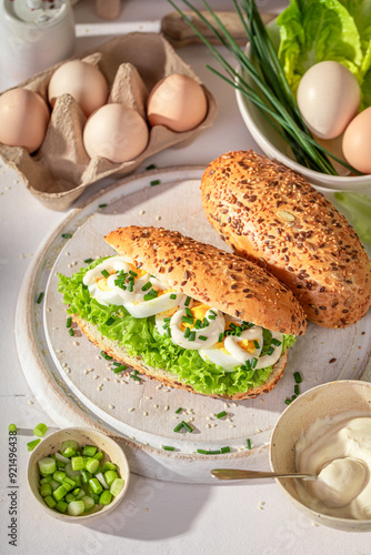 Delicious and healthy sandwich with mayonnaise and eggs.