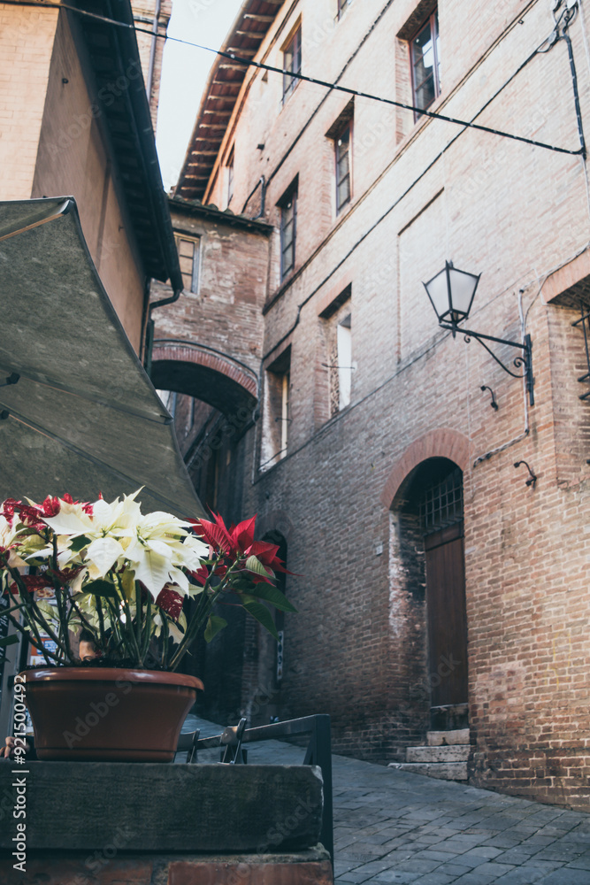 Naklejka premium Narrow street in the Siena old town