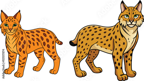 bobcat silhouette vector illustration 