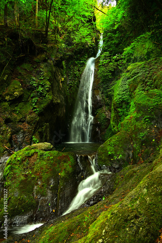 大滝　東京都あきる野市養沢
