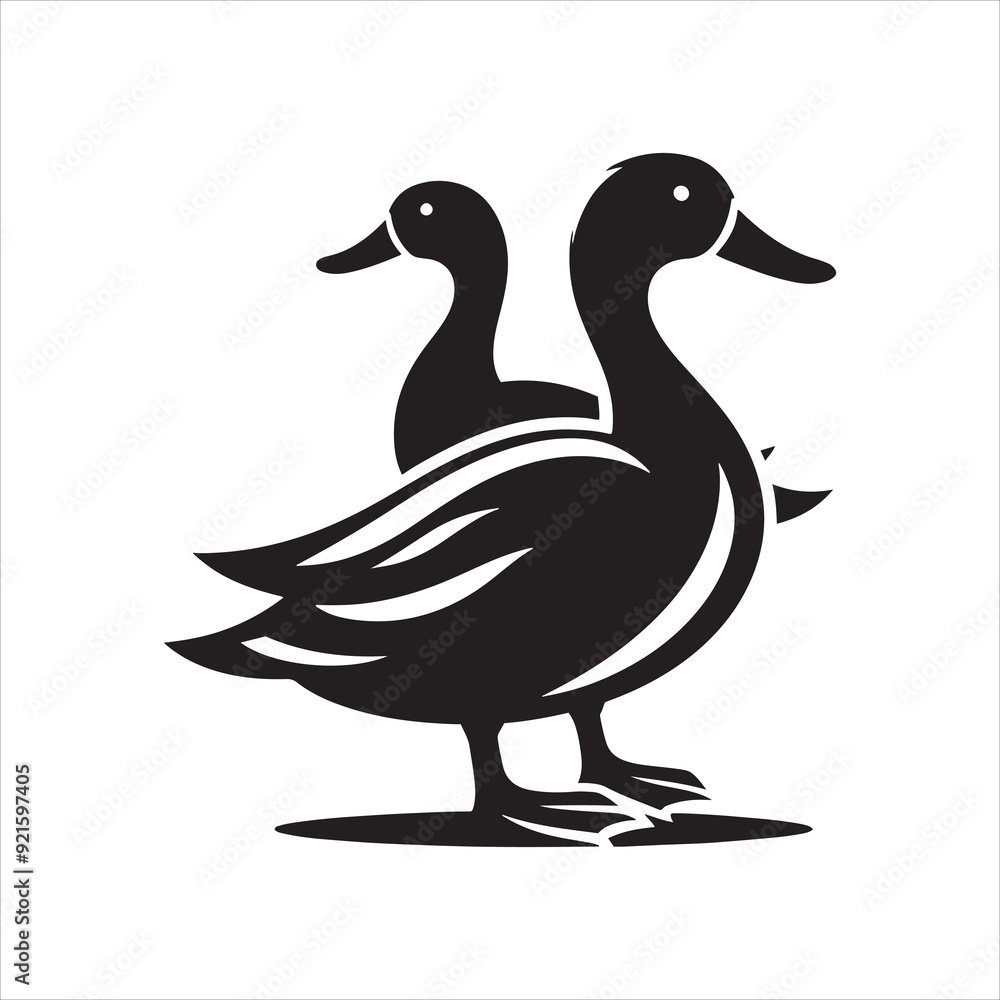Guide to Duck Species Guide to Duck Species