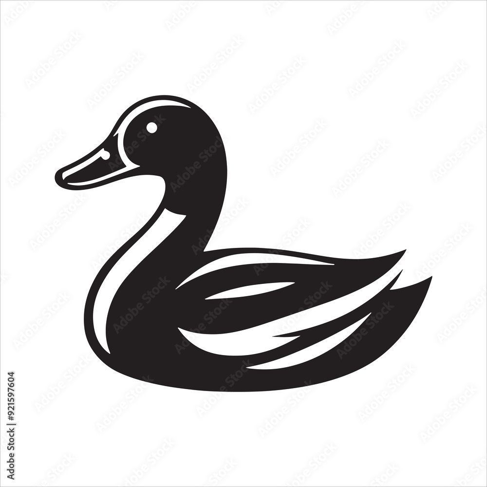 Guide to Duck Species Guide to Duck Species