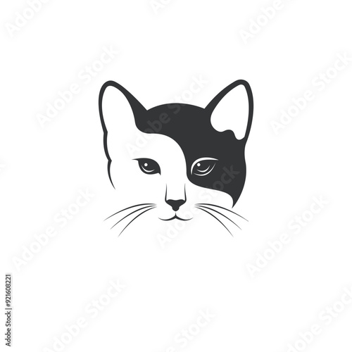 black and white cat