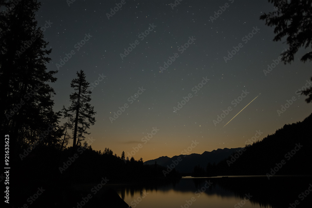Fototapeta premium Comet Tail Painting the Midnight Sky with Celestial Elegance