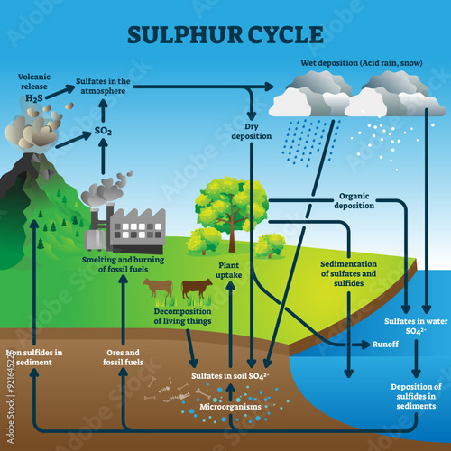 Sulphur cycle illustration, transparent background. Labeled geological earth elements scheme. Diagram with circulation from atmosphere, to depostition, sediment and sulfates.