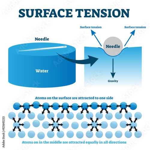 Surface tension explanation illustration diagram, transparent background. Physics educational information scheme with needle and liquid water atoms on the surface attraction example.