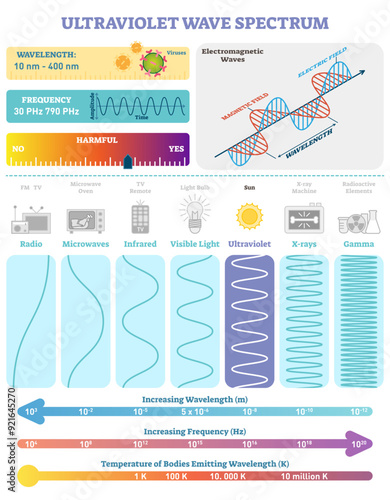 Electromagnetic Waves: Ultraviolet Wave Spectrum, transparent background. Vector illustration diagram with wavelength, frequency, harmfulness and wave structure. Science educational information.