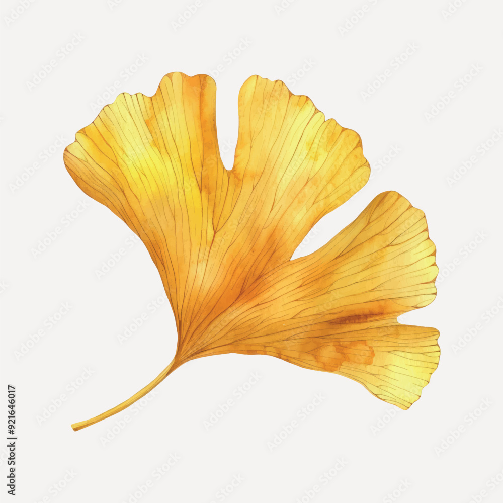 Naklejka premium Golden ginkgo leaf illustration