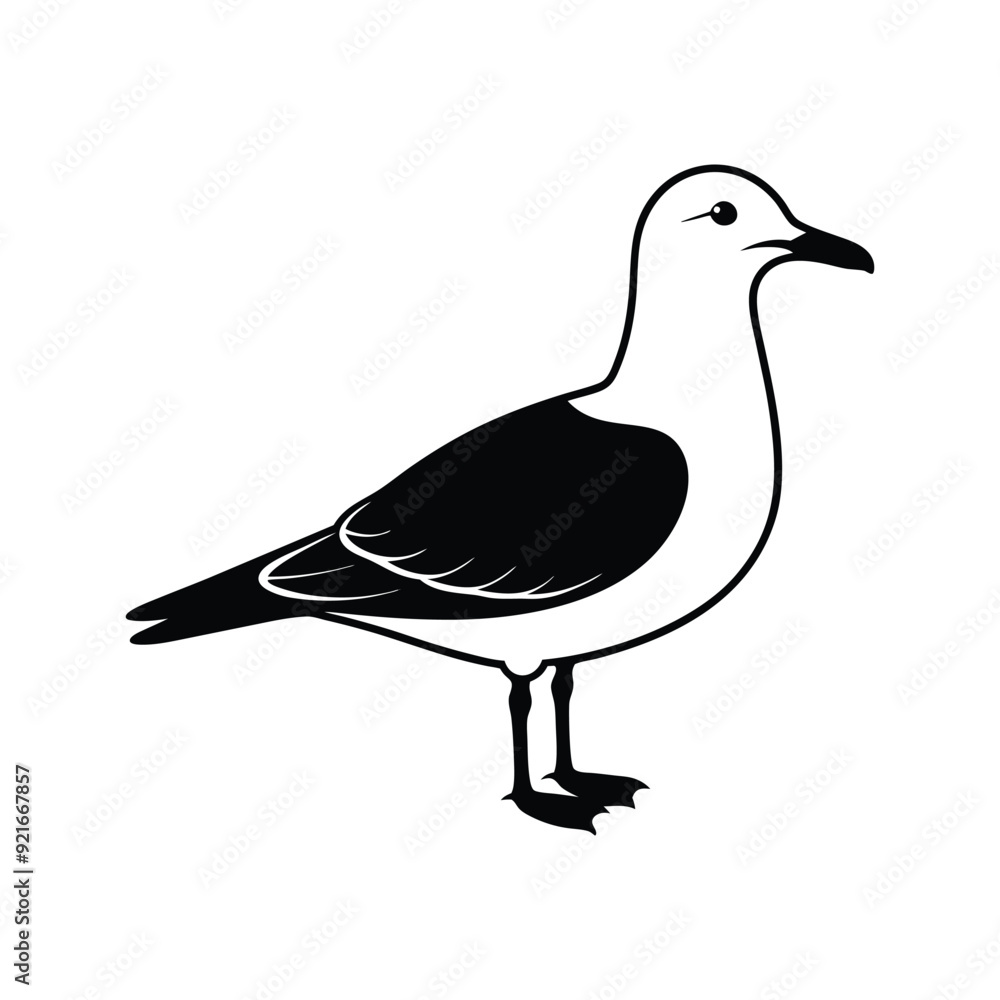 Black standing seagull Vector icon isolated on white background Black standing seagull Vector icon isolated on white background