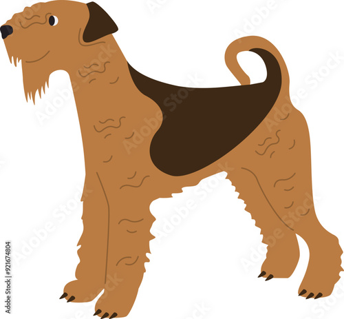 Airedale Terrier Dog