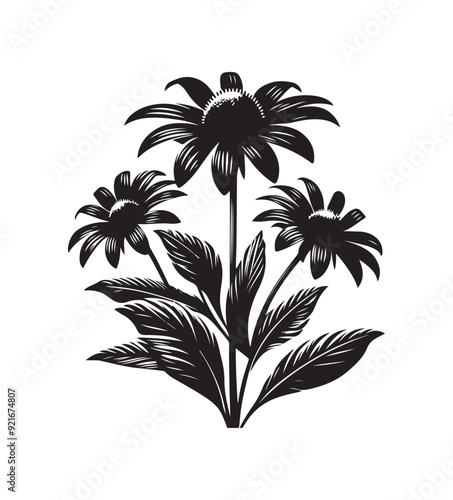 black eyed susan vector style,silhouette vector,black and white color
