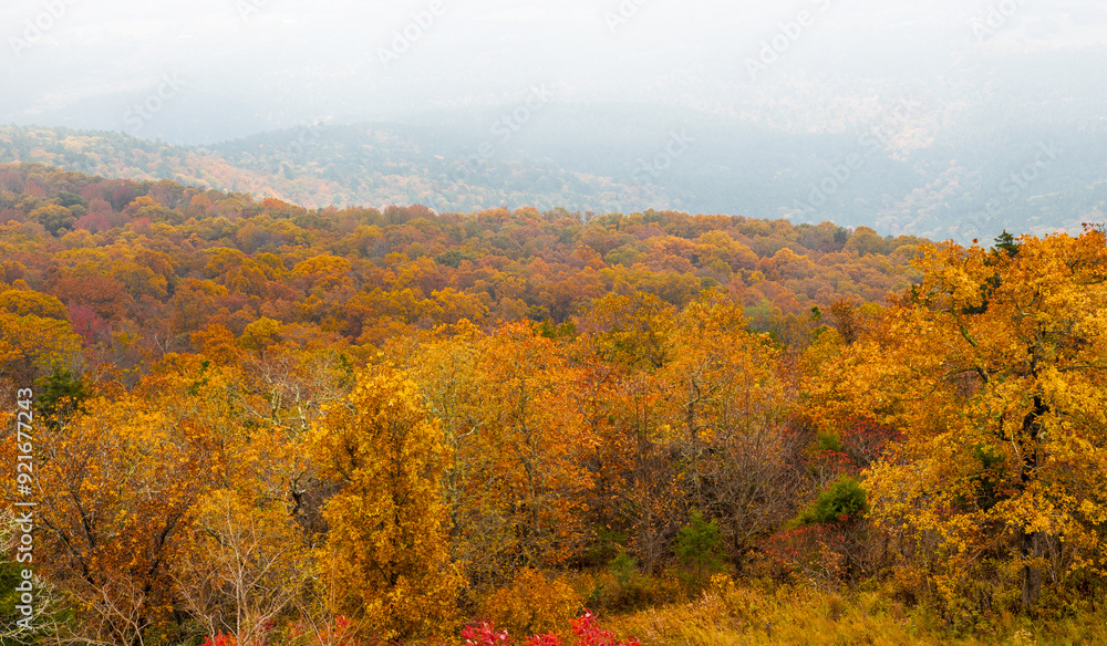 Beautiful fall colors on the mountain with heavy fog down in the valley. Beautiful fall colors on the mountain with heavy fog down in the valley.