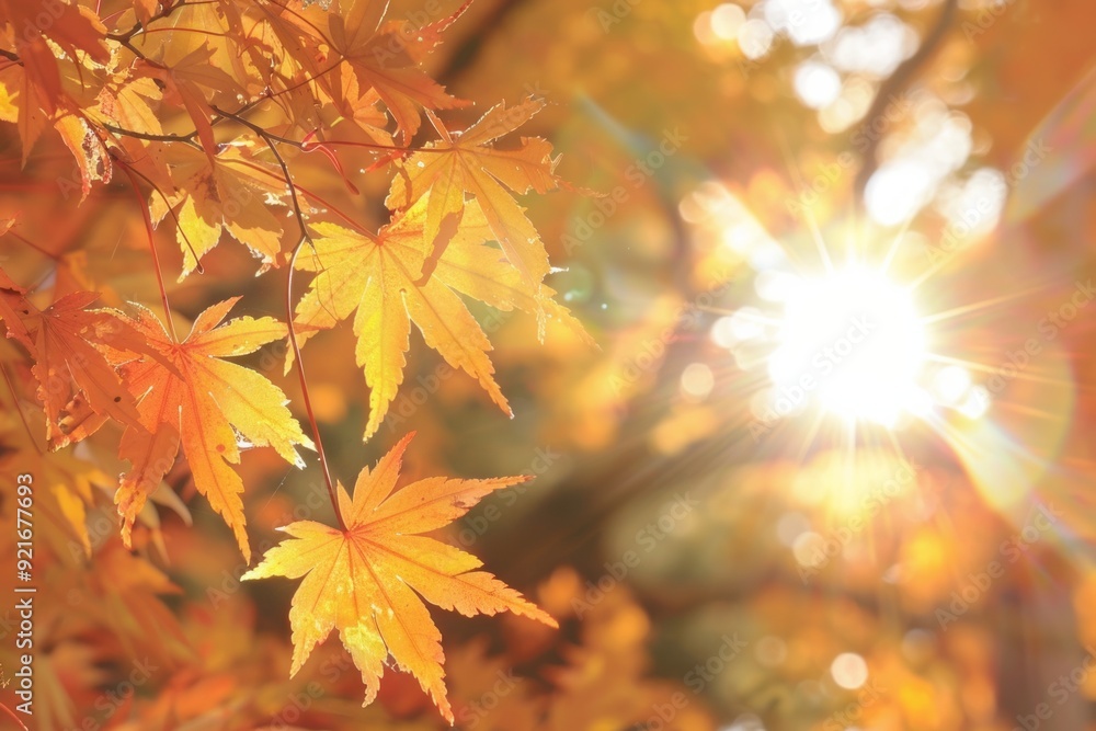 Sunlight shining through the fall maple leaves. AI generative Sunlight shining through the fall maple leaves. AI generative