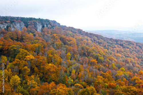 Autumn foliage at Mount Magazine with heavy fog in the valley.