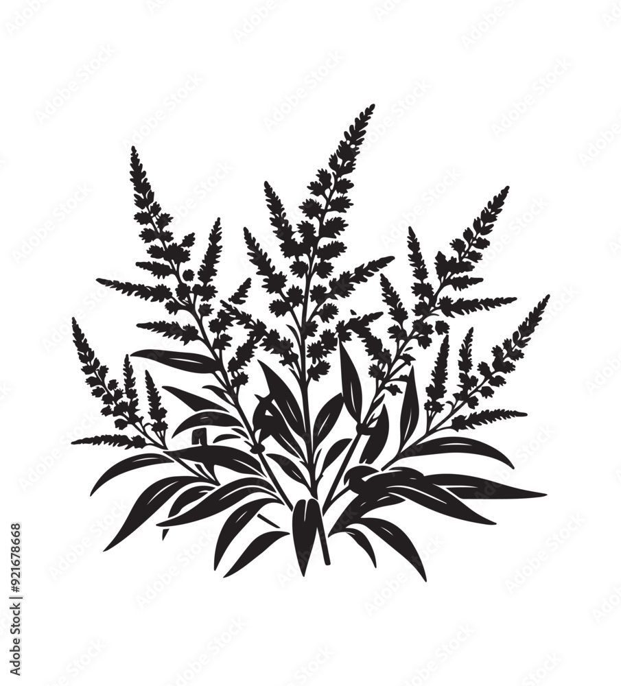 Obraz premium goldenrod vector style,silhouette vector,black and white color