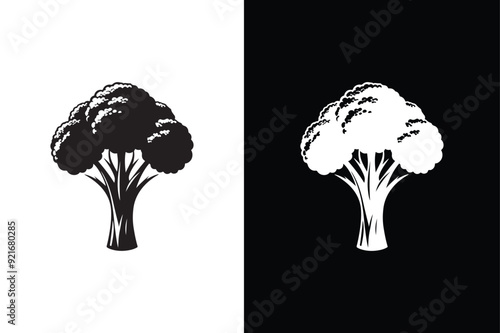 Broccoli Icon silhouette for design. Easily editable. Broccoli Icon vector illustration black white