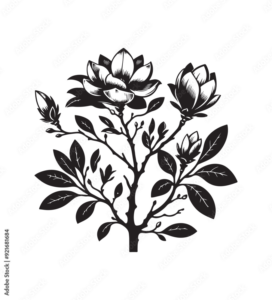 Obraz premium magnolia vector style,silhouette vector,black and white color