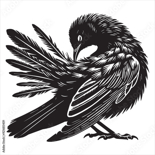 Eurasian blackbird silhouette,  Blackbird Clipart, Common blackbird preening its feathers illustration in black and white