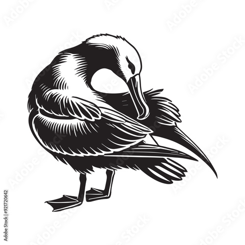 Albatross silhouette, Diomedeidae Bird Clipart, A Albatross Preening illustration in black and white