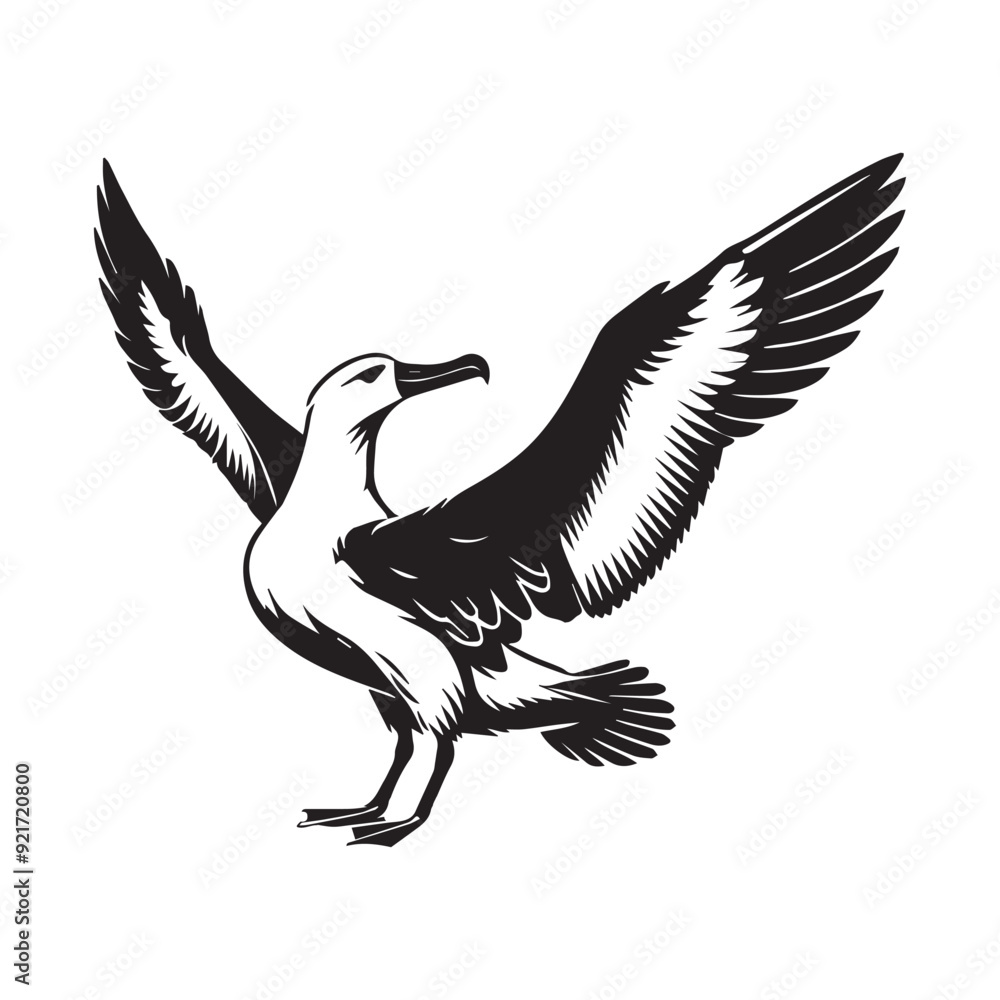 Obraz premium Albatross silhouette, Diomedeidae Bird Clipart, A Albatross Stretching Wings illustration in black and white