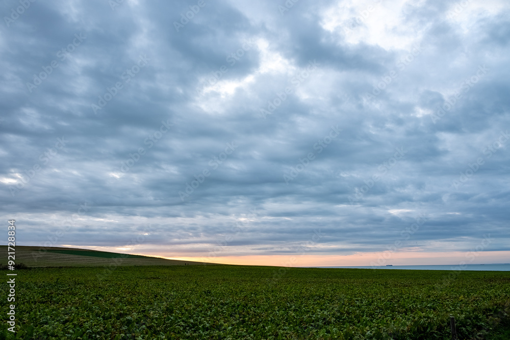 A picturesque sunrise over a green field under dramatic clouds showcases the beauty of rural landscapes A picturesque sunrise over a green field under dramatic clouds showcases the beauty of rural landscapes