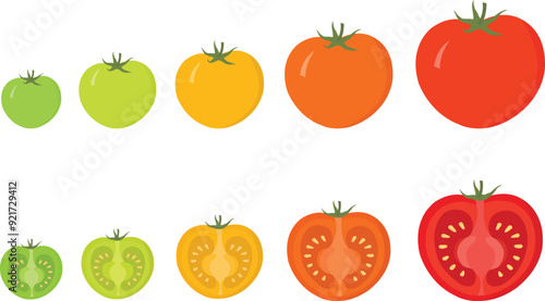 Full and half tomatoes sectional ripeness stages